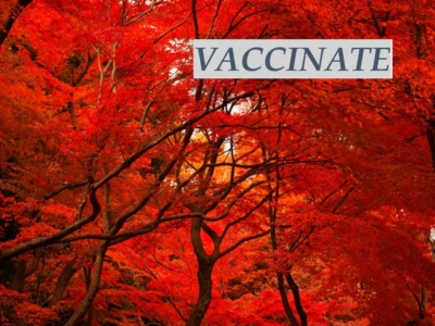 Protect Your Child With The Flu Vaccine