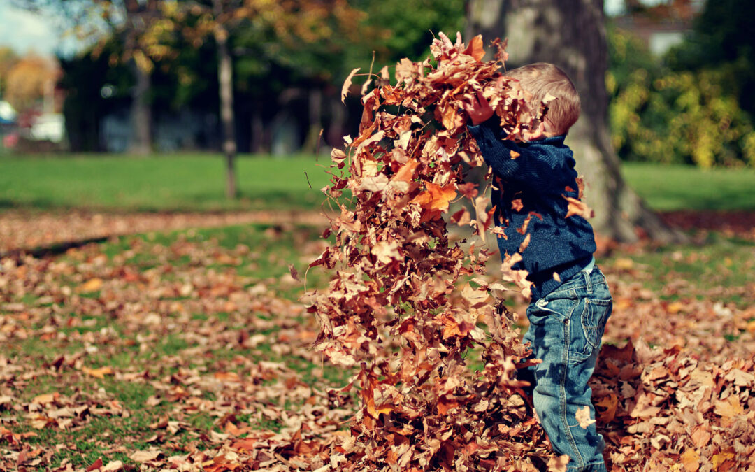 Exploring Nature: The Benefits of Outdoor Play for Kids
