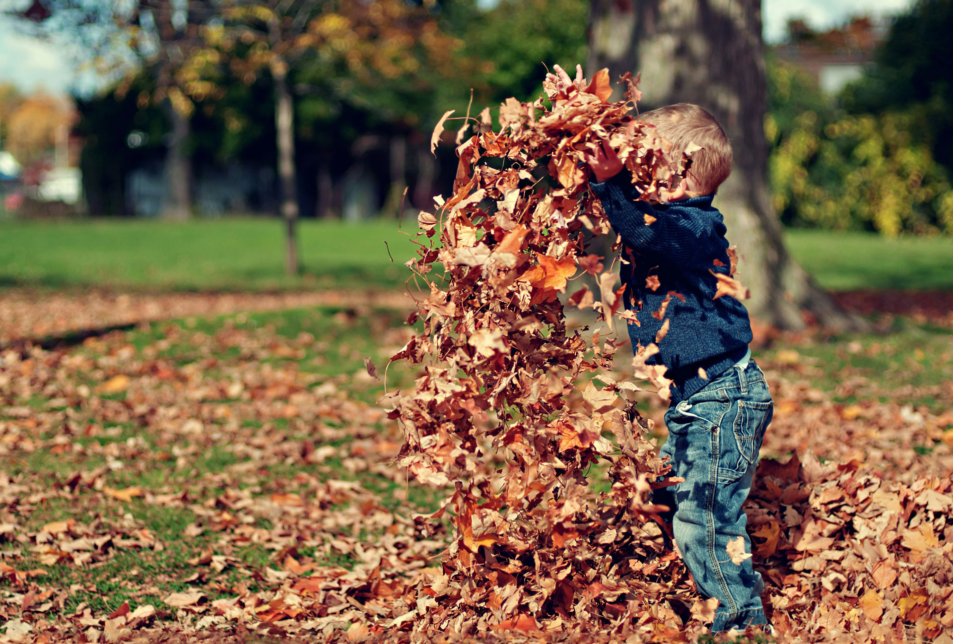 Exploring Nature - The Benefits of Outdoor Play for Kids - Community-Choice Pediatrics.jpg